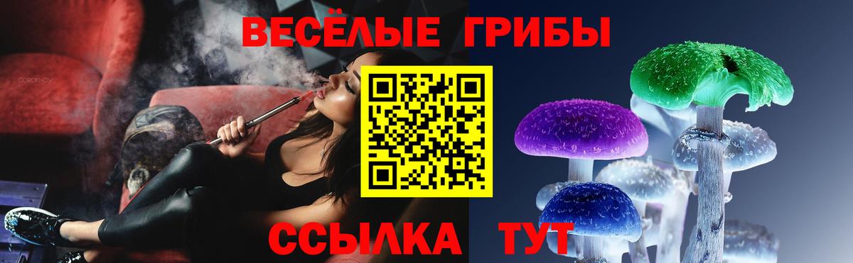 Галлюциногенные грибы мухоморы  Псилоцибиновые грибы Magic Shrooms  Вход с VPN  Корсаков 