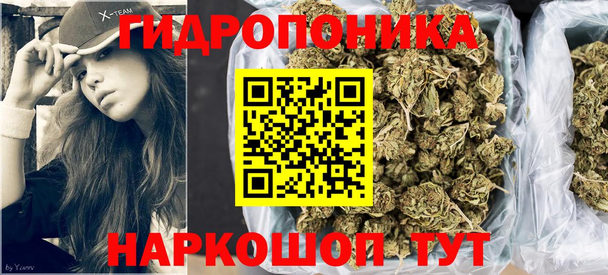 Корсаков  Канабис White Widow  Канабис OG Kush  Вход с VPN  Канабис сатива 